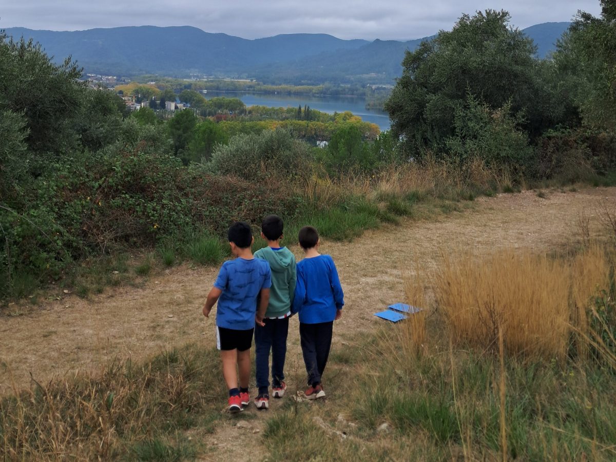 Educar para la sostenibilidad en primera infancia: Una investigación-acción con la comunidad&nbsp;educativa